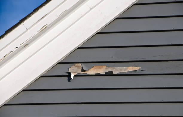 Best Residential Vinyl Siding Installation  in Perryville, MD